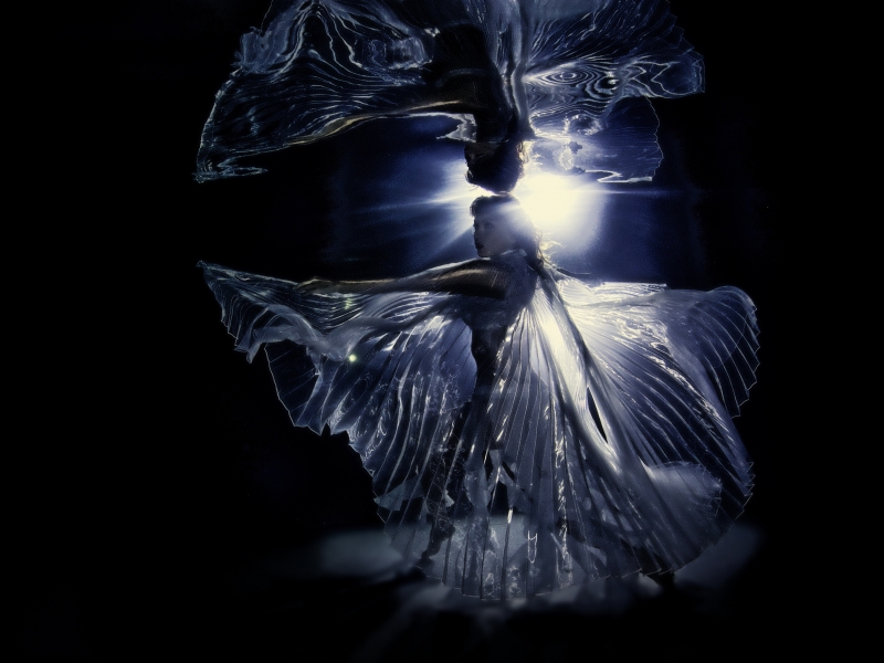 Our World Underwater 2013 Winning Image by Shawn