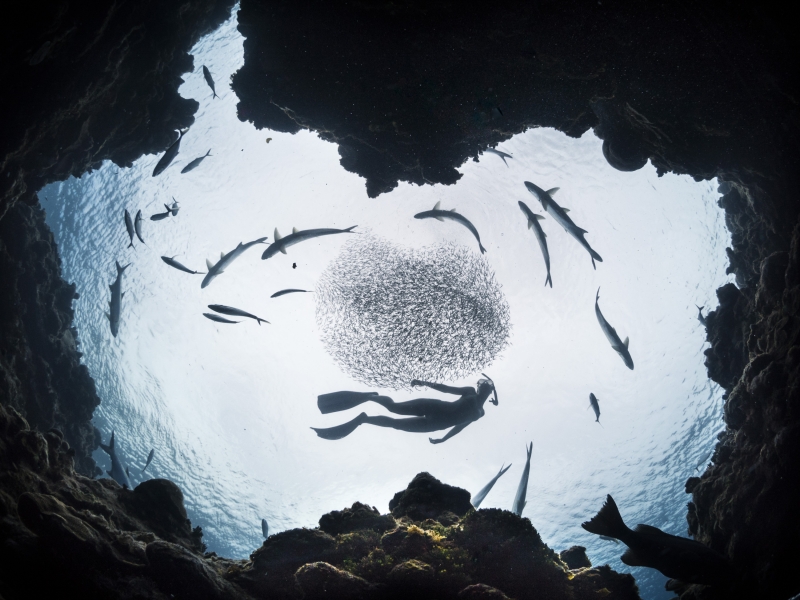 DEEP Indonesia 2017 Winning Image by Kyle