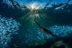 DEEP Indonesia 2020 Winning Photography