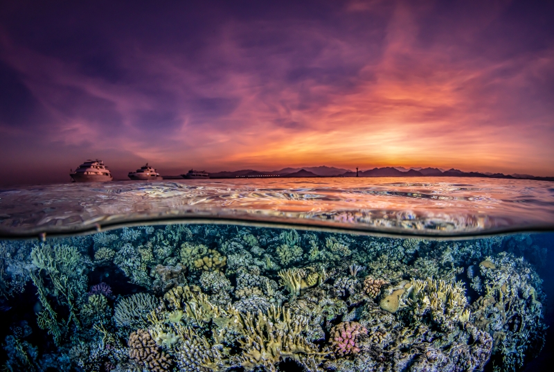 DEEP Indonesia 2020 Winning Image by Fressia