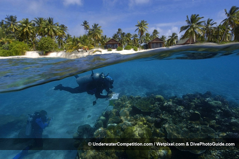 Our World Underwater 2008 Winning Image by Andre