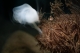 Underwater Awards Australasia 2024 Winning Photography