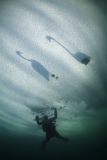 Last picture taken before deadline by Yan Ottesen (Switzerland)