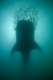 Our World Underwater 2009 Winning Photography