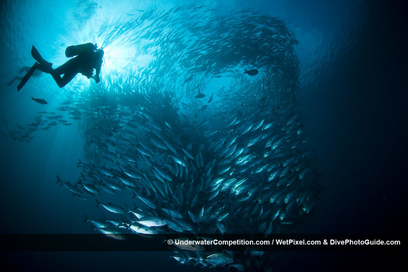 DEEP Indonesia 2010 Winning Image by Maria